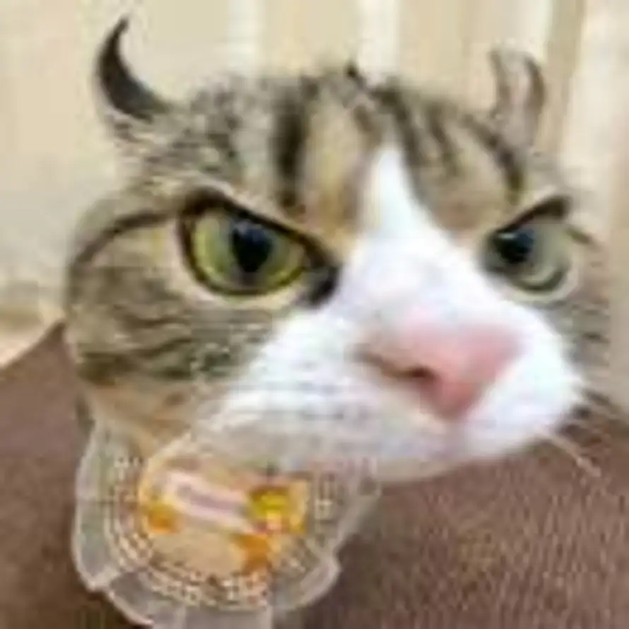 Echo的头像