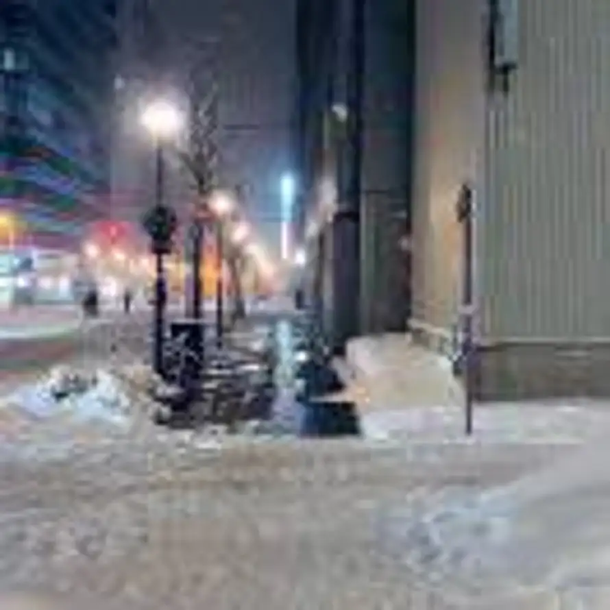 用户三月聚粮的头像