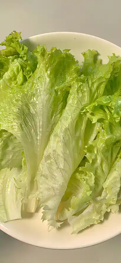 4k新鲜壁纸 - 生菜 - 白盘 - 菜叶「哲风壁纸」