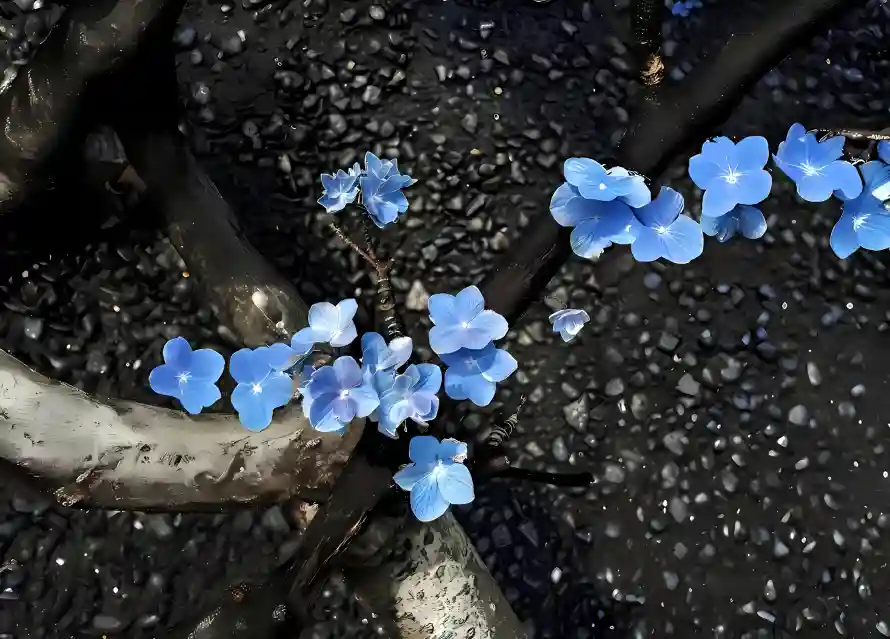 4k树枝壁纸 - 自然 - 花朵 - 蓝色「哲风壁纸」 4k树枝壁纸 - 自然 - 花朵 - 蓝色「哲风壁纸」