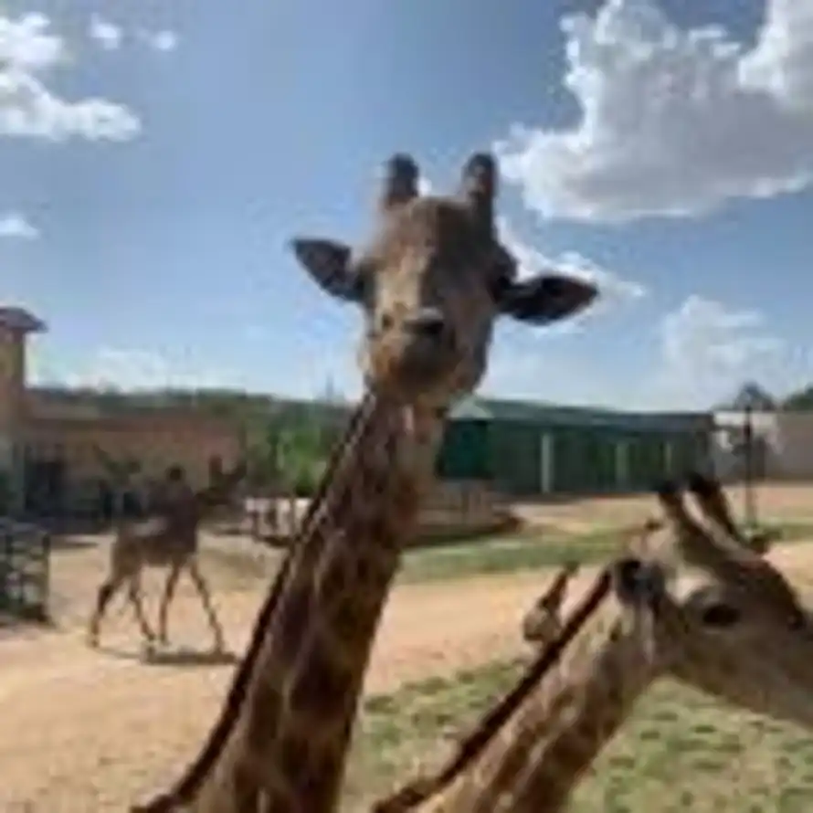 路遥车远的头像