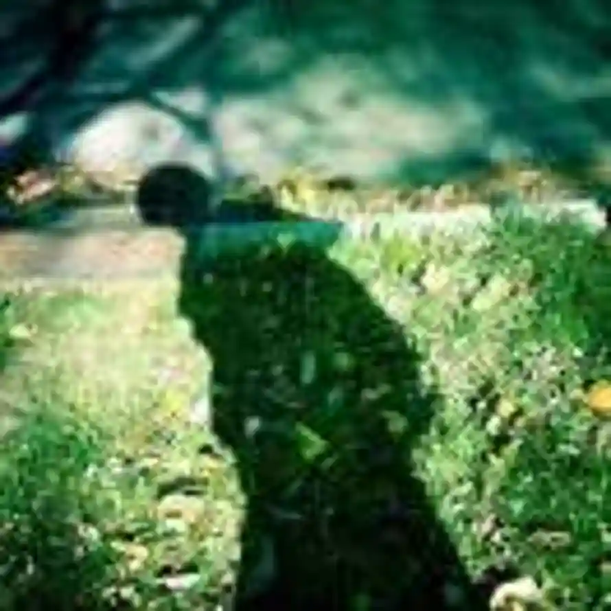 一了百了。的头像