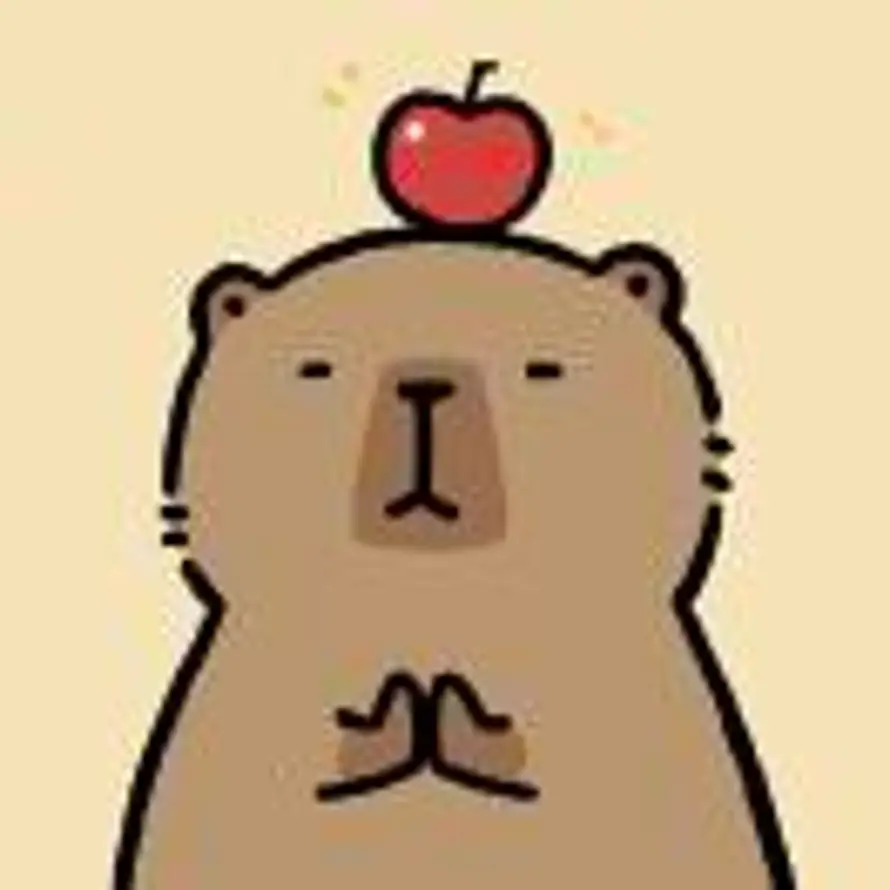 去码头整点海鸥的头像