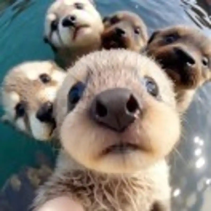 ٩( 'ω' )و的头像