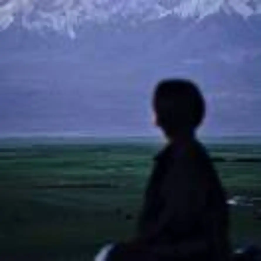 日光い半暖的头像