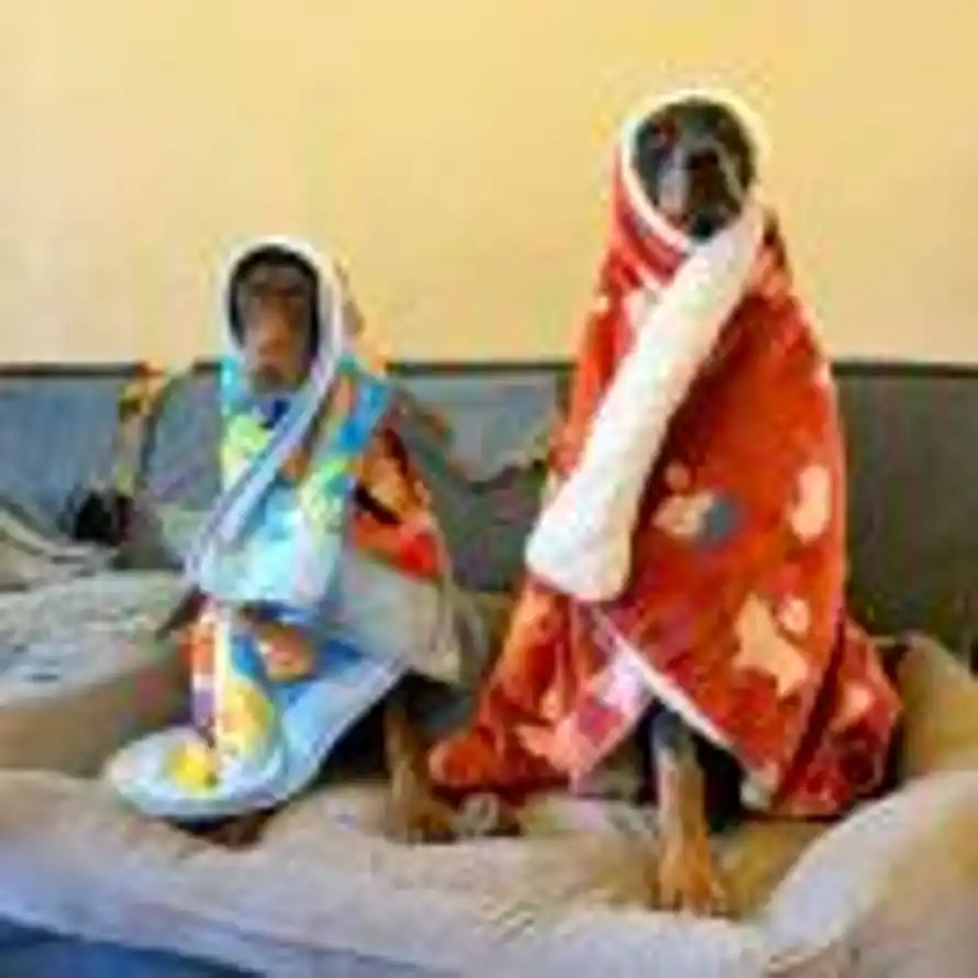 骑着蜗牛追星星的头像