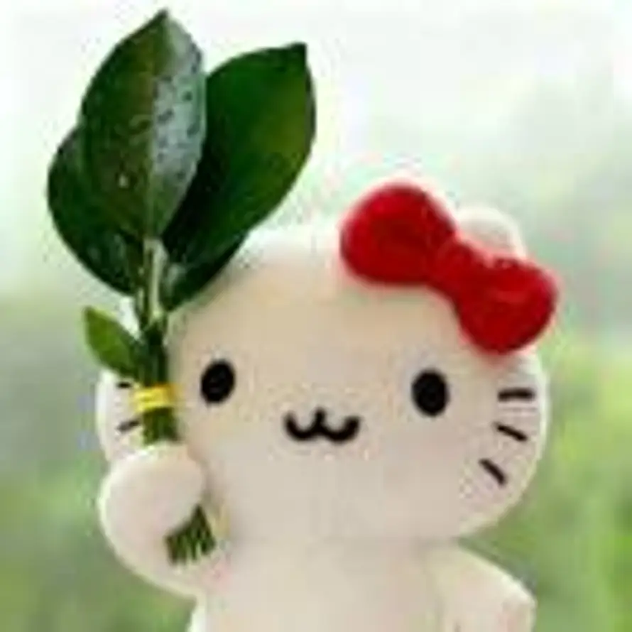 我心塞满棉花的头像