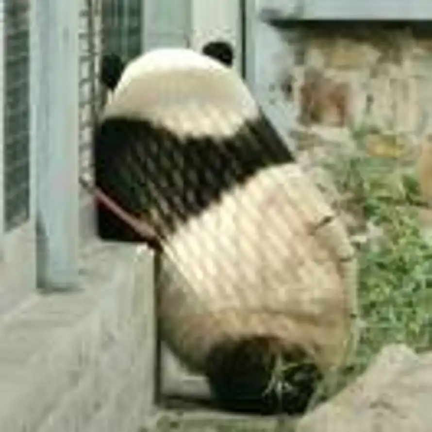 汐雨霖霖的头像