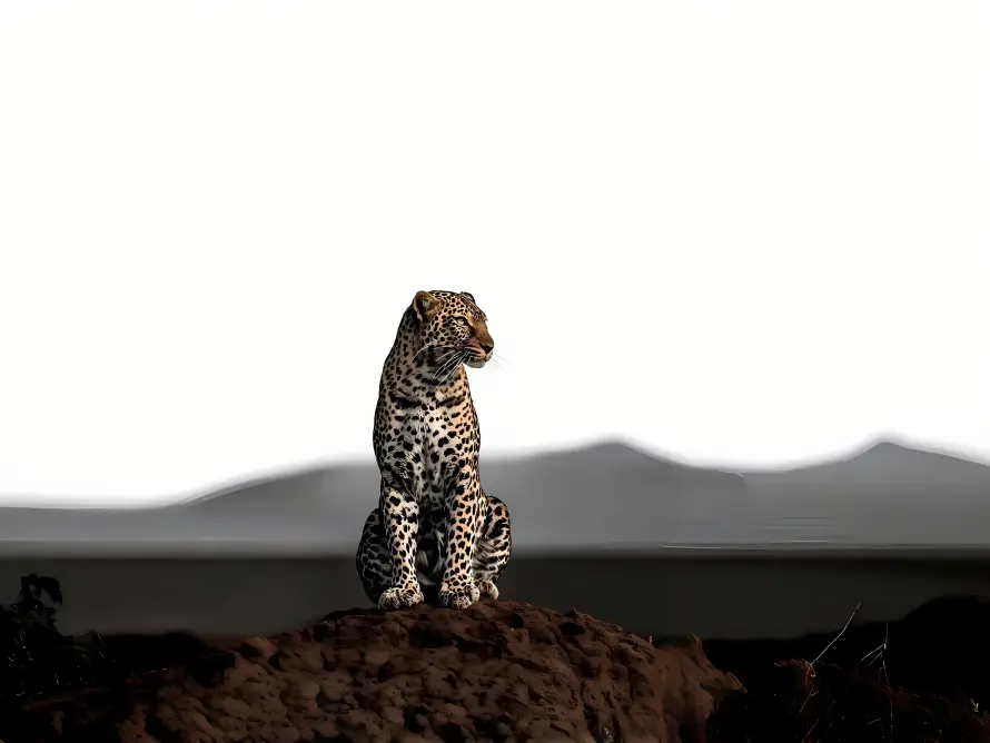 4k动物壁纸-远山壁纸和荒野-热门的壁纸「哲风壁纸」