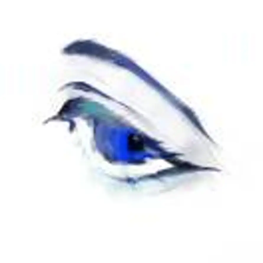 春尽方觉夏的头像