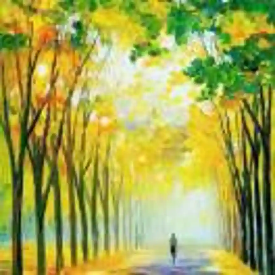 晴空万里的头像