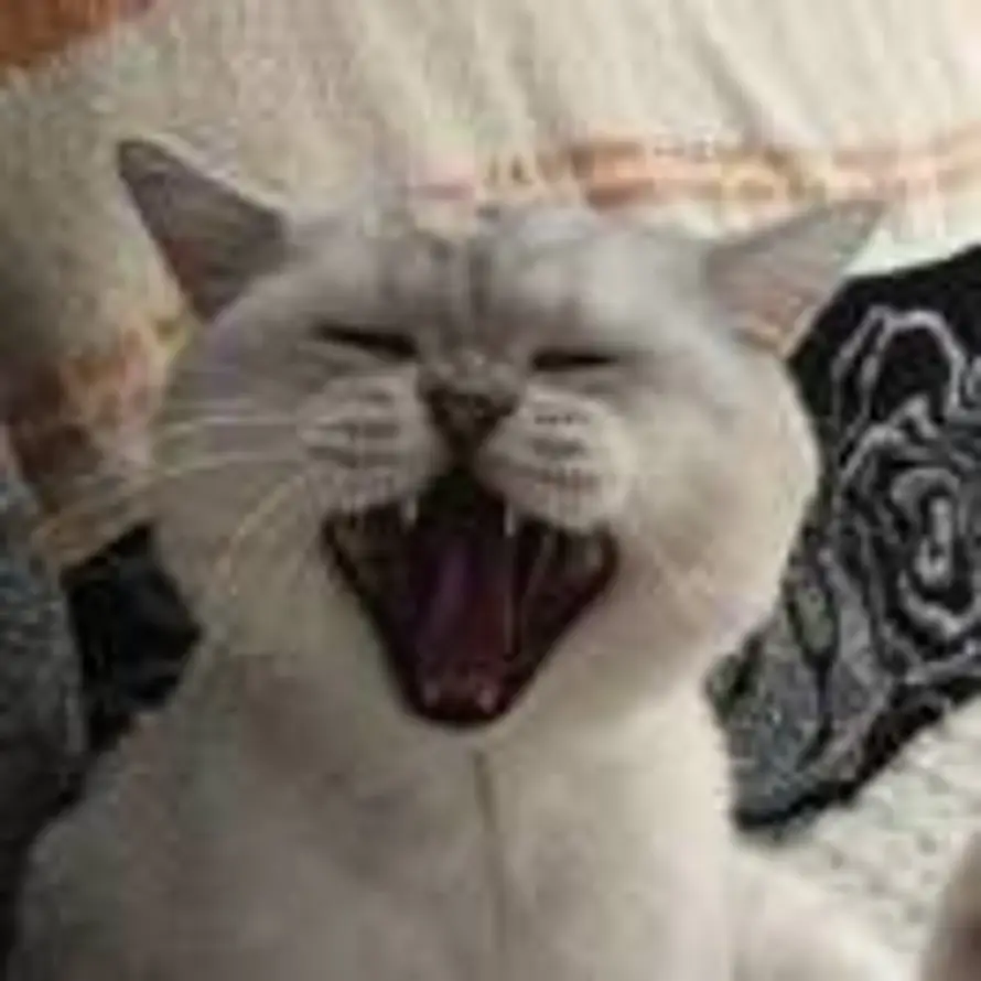 差不多冬至.的头像