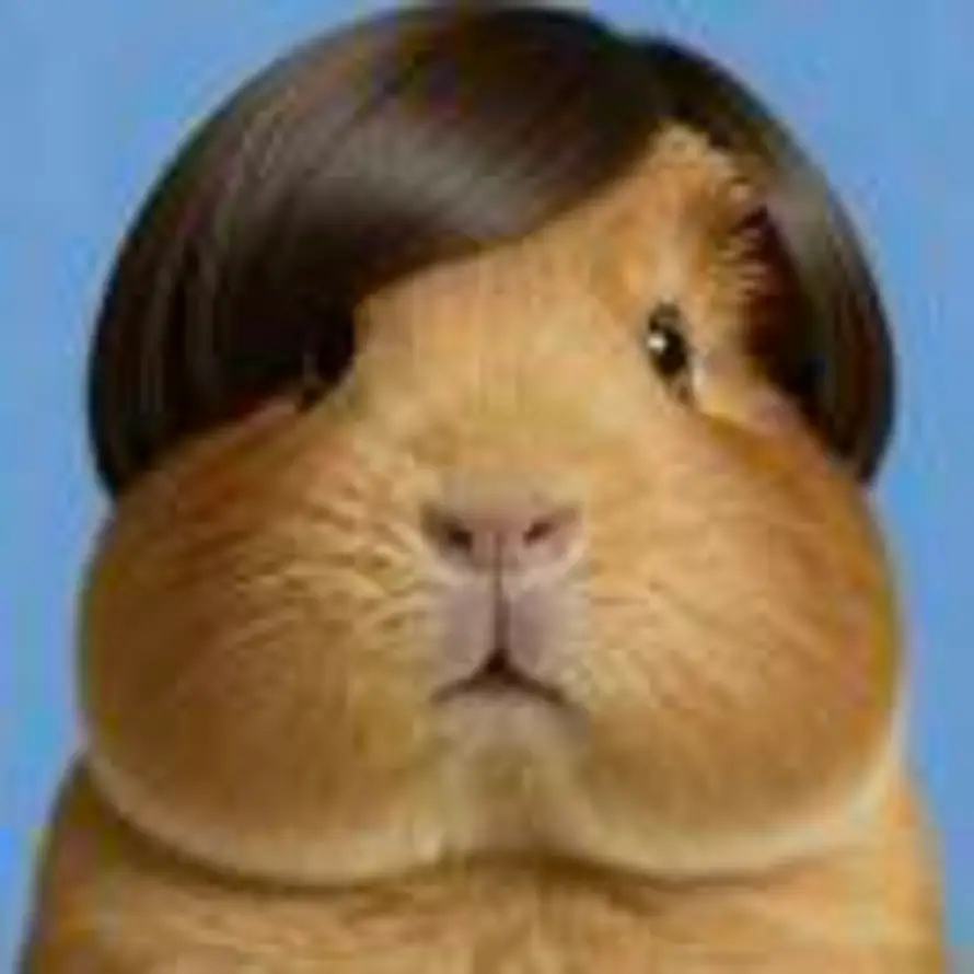 深情不过陶喆的头像