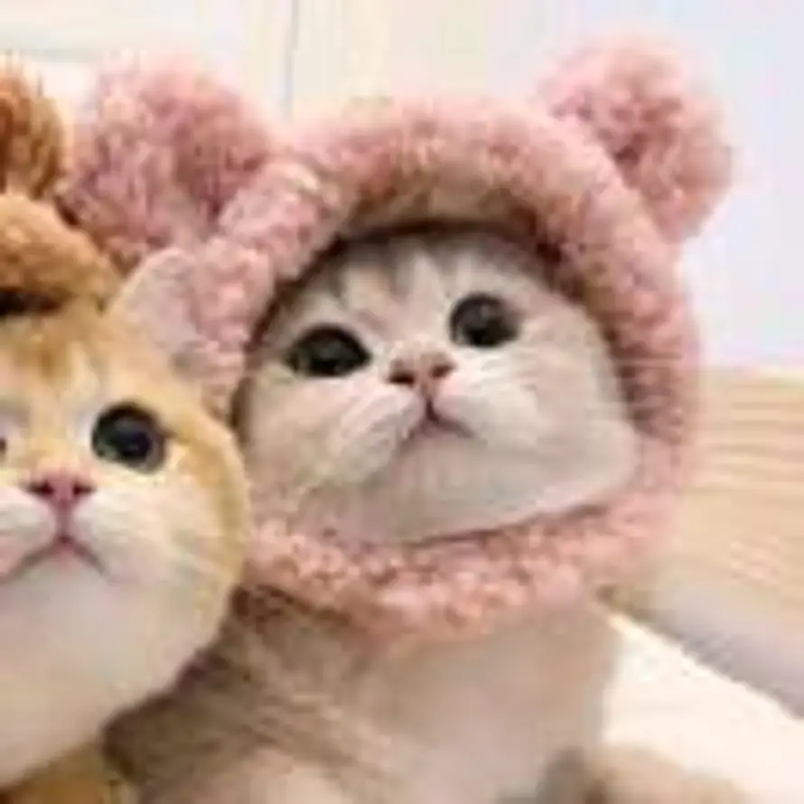 四级的Yara(Fa)的头像