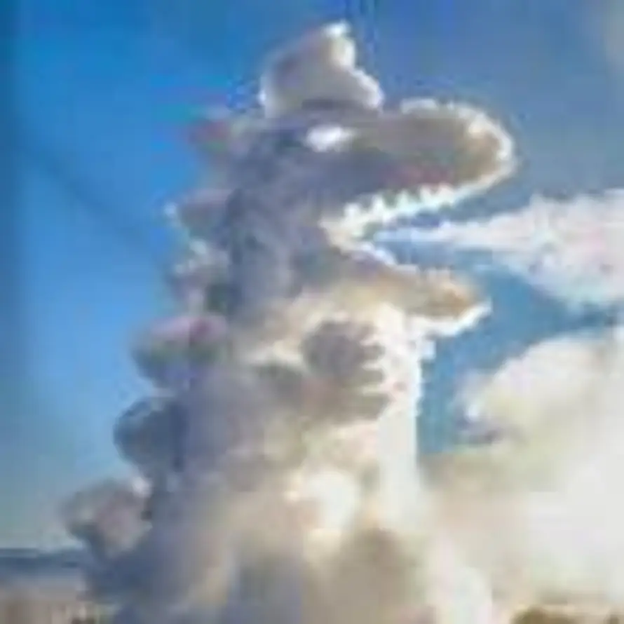 悠然见南山的头像