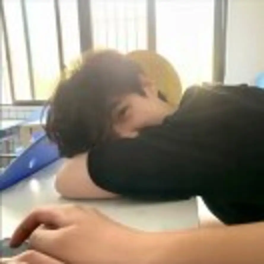 放飞的鱼粉^的头像