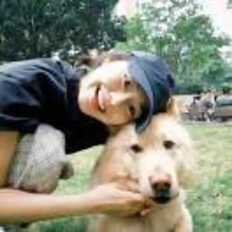 ε小泉彩з🎐的头像