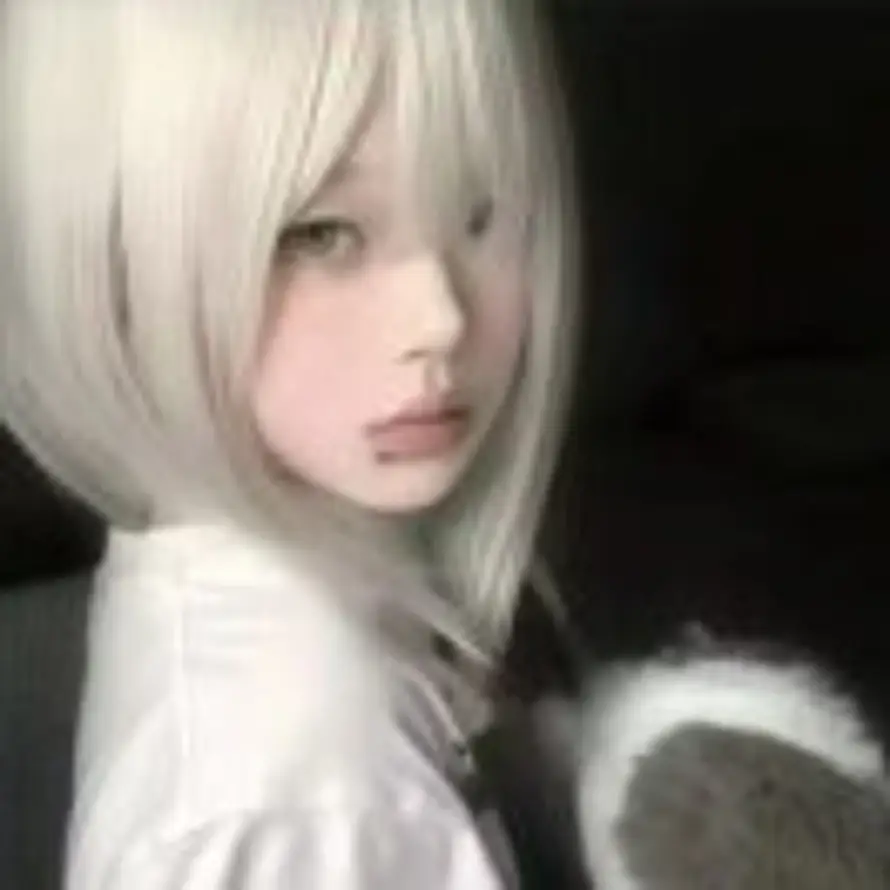 ₍ᐢ..ᐢ₎🌷的头像