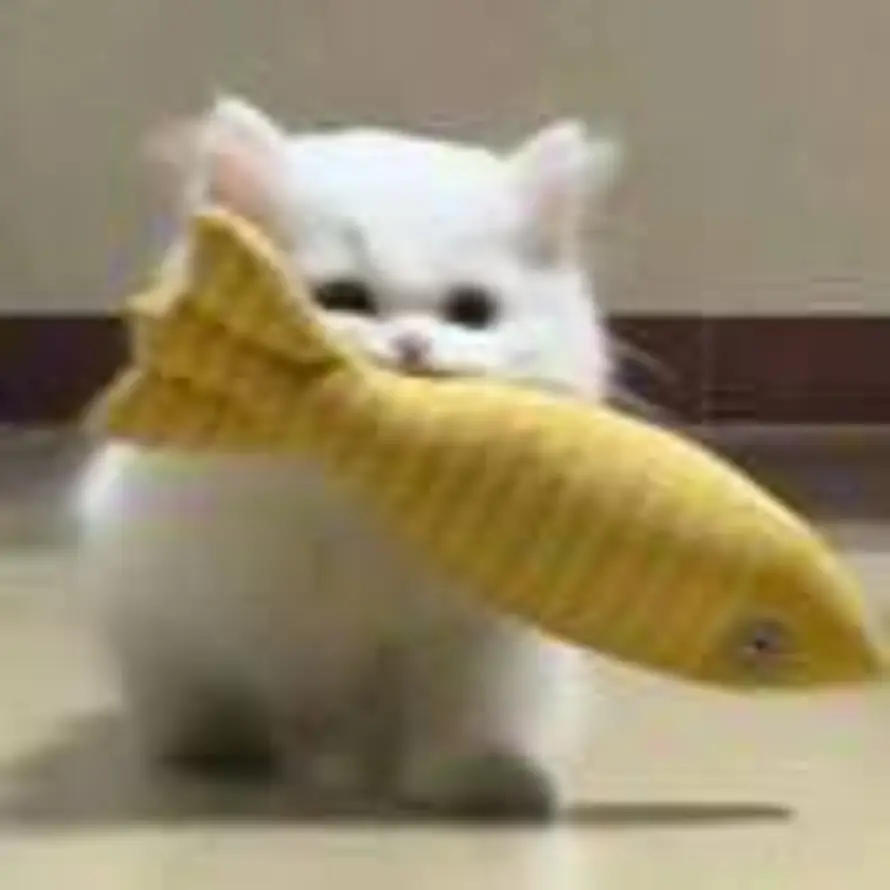 ᵉʸᵘ੭ﾞ的头像