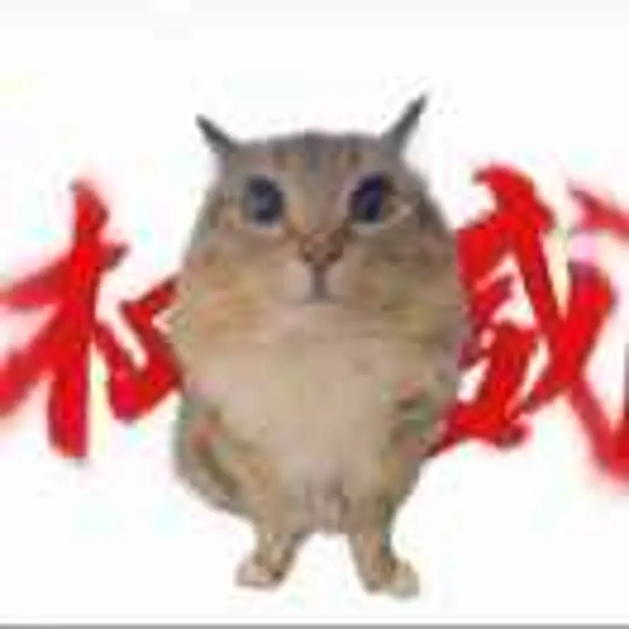 丛佳弈🙄的头像