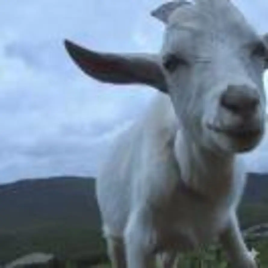 用户徐婳的头像