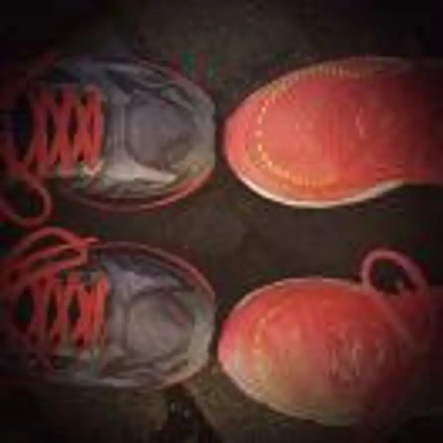 🐮牛儿🐮的头像