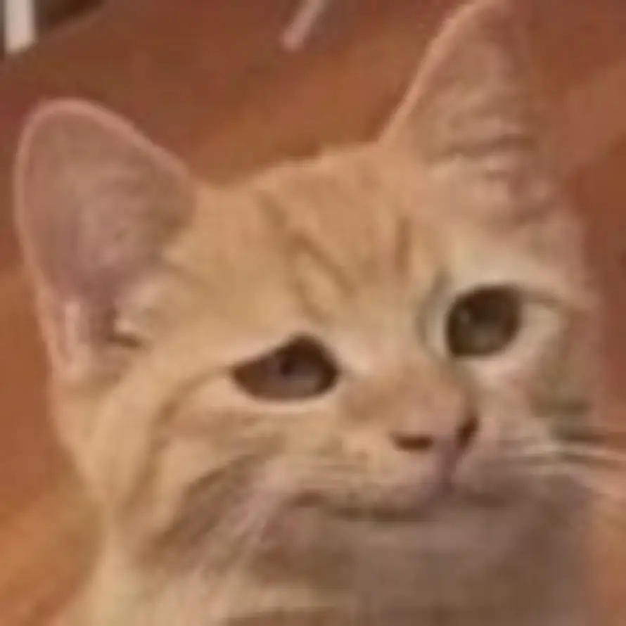 侥幸而已的头像