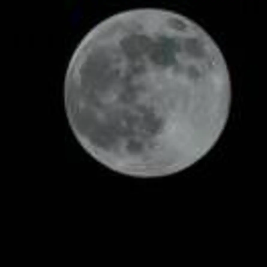 无￡所谓的头像