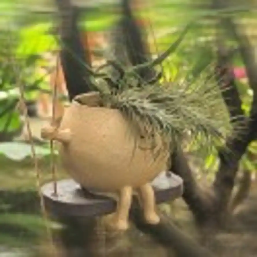 孤寡～孤寡的头像