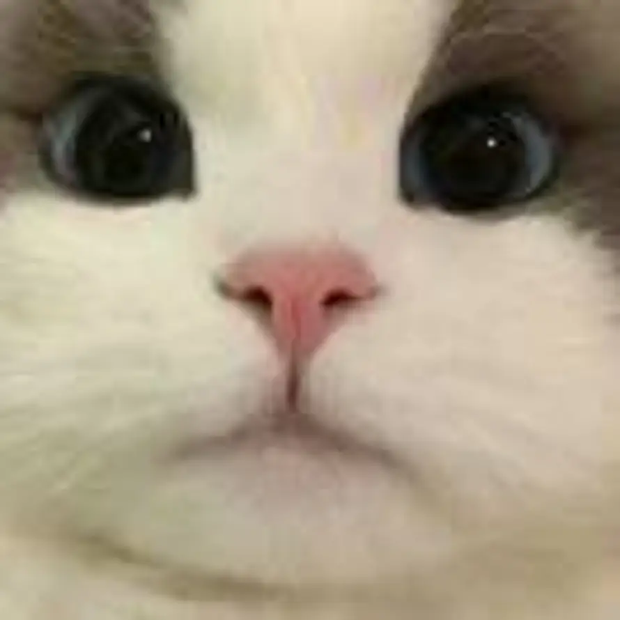 账号已注销的头像