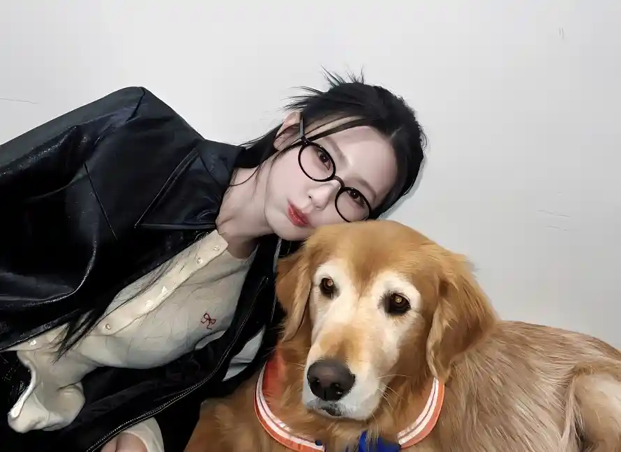 4k宠物壁纸 - 皮衣 - 眼镜 - 金毛「哲风壁纸」