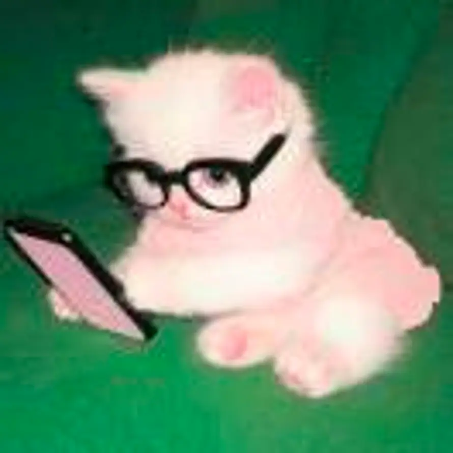 悦悦大王的头像