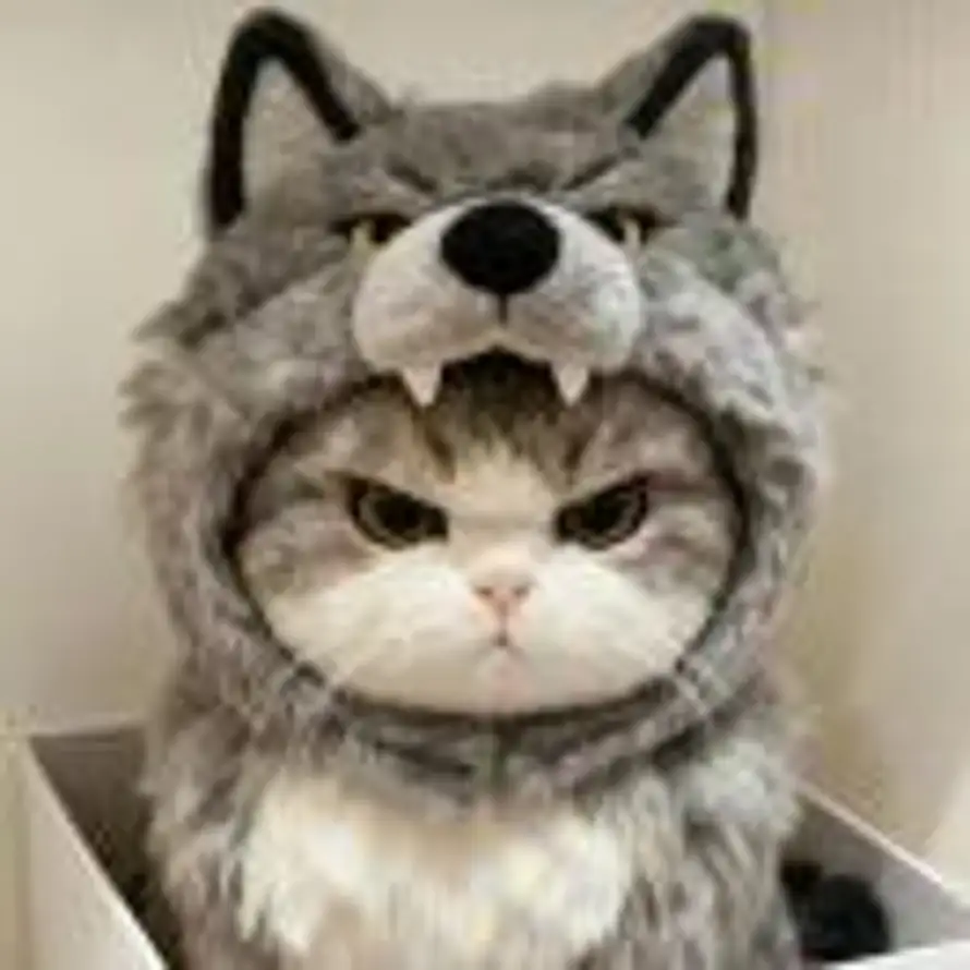 Serein  ゛的头像