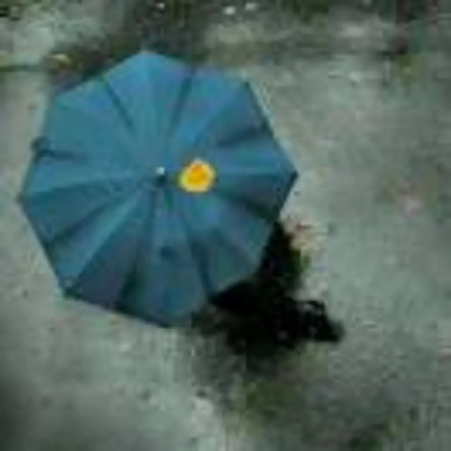 凡事从心起的头像