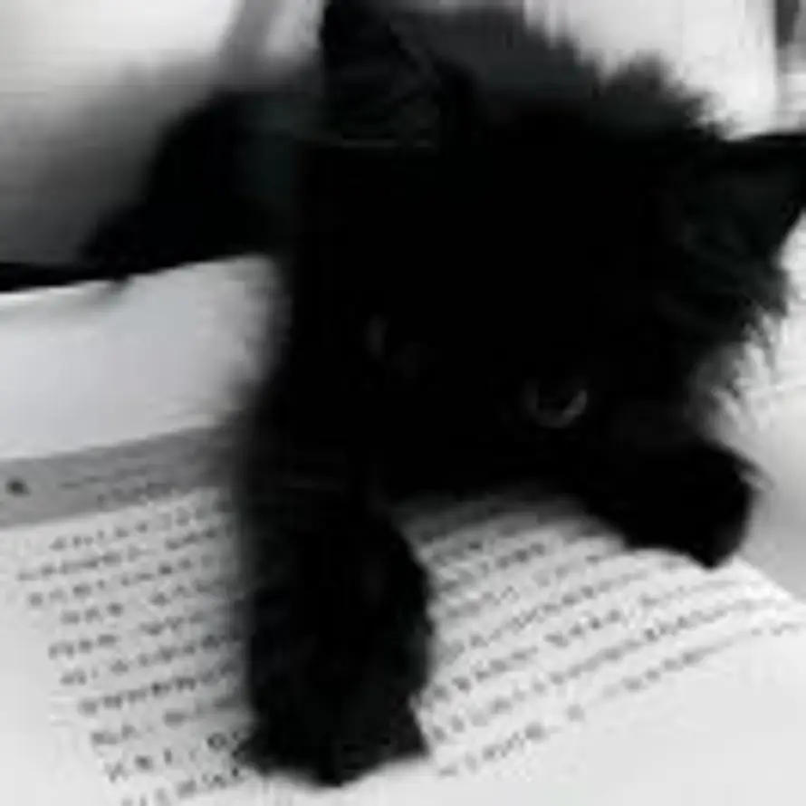 明人不放暗屁的头像