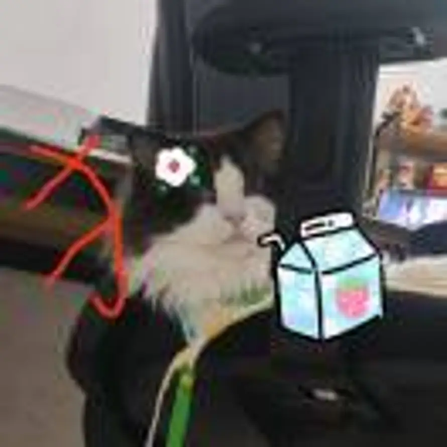 一坨大🐶💩的头像