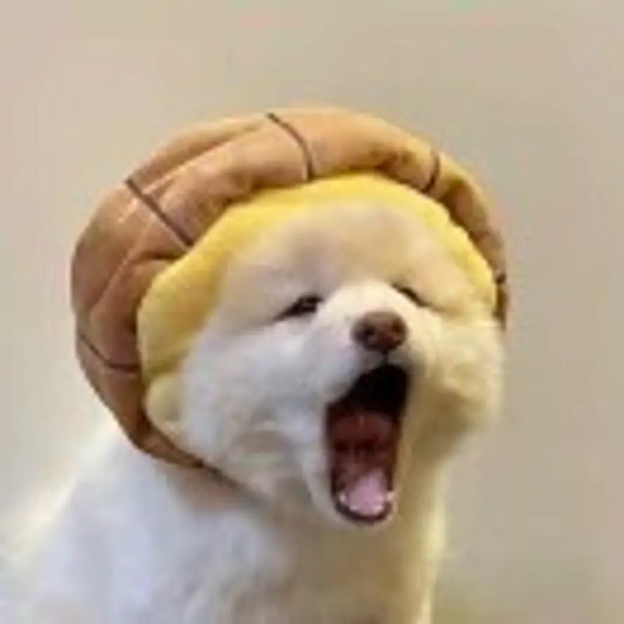 逢考必过的头像