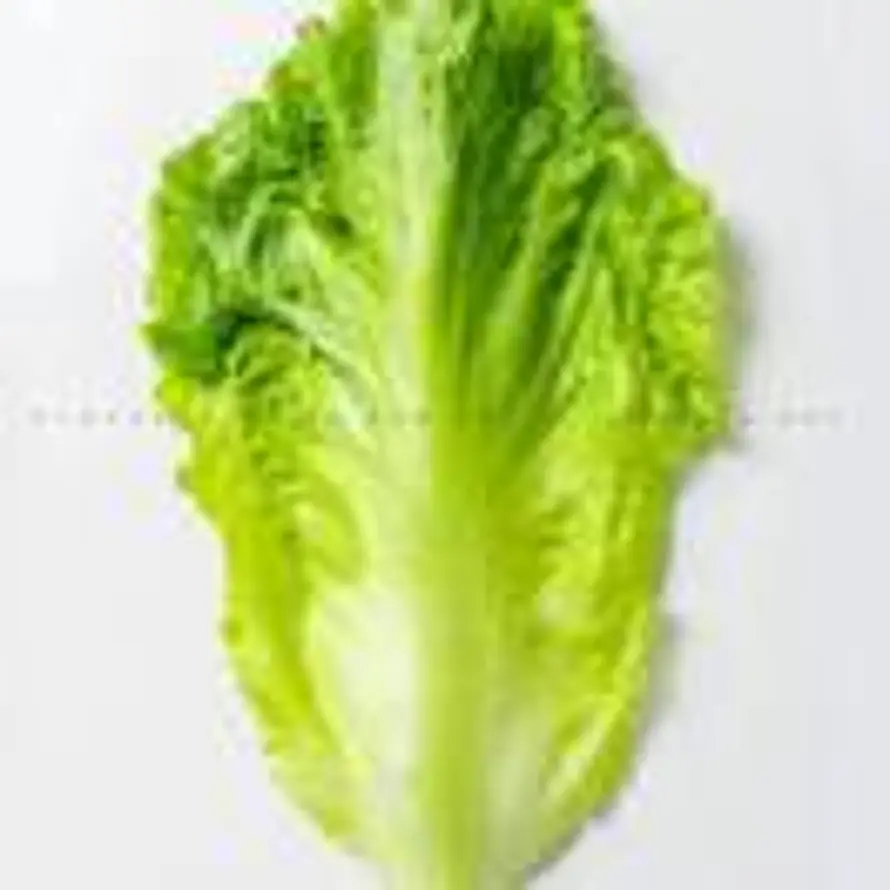 用户编号2030的头像