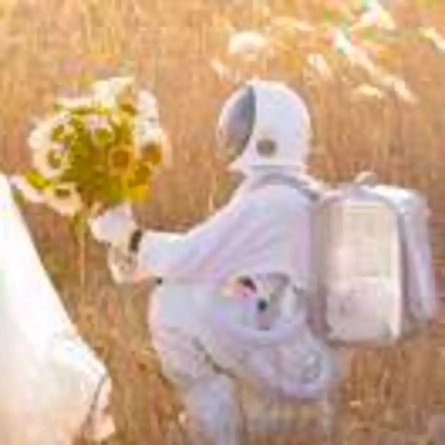 Lin的用户头像 - 哲风壁纸