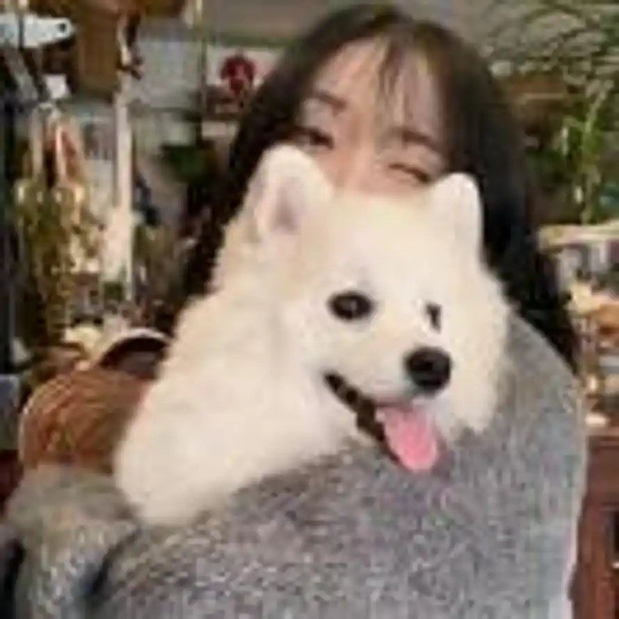 whois희주的头像