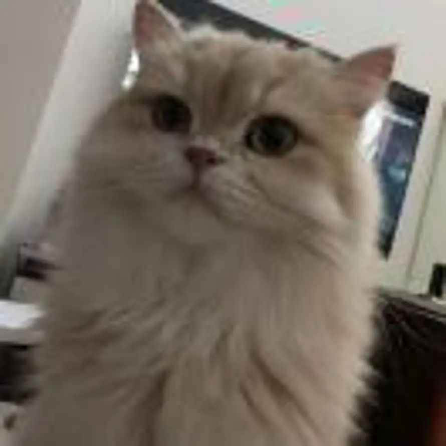 Ploutocrate的头像