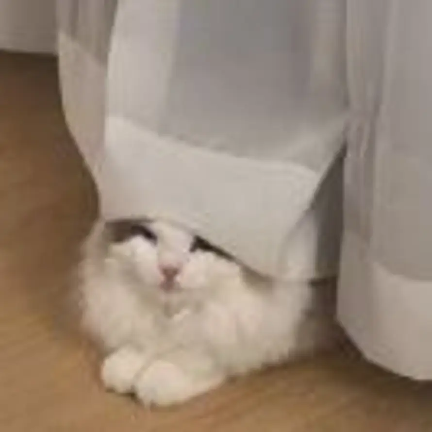 W的头像
