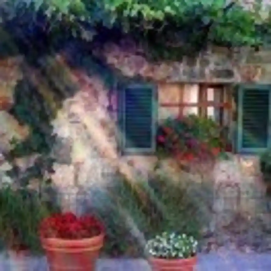 一步一叮咛的头像