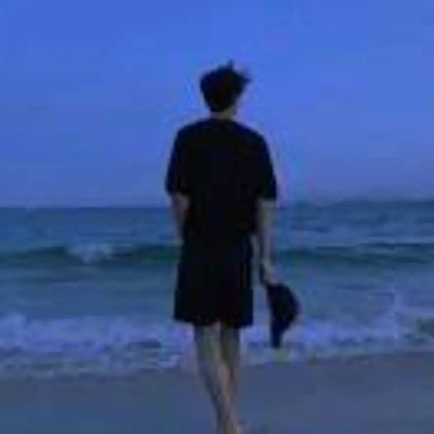 ...真没招了的头像