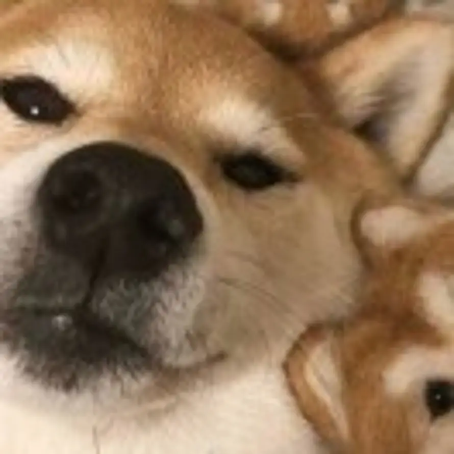 ẅäṅġẍïäöÿüೄ的头像