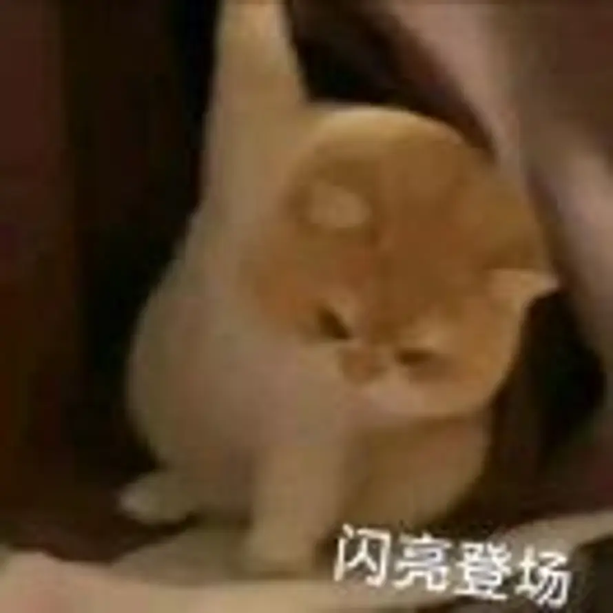 不吃香菜的头像