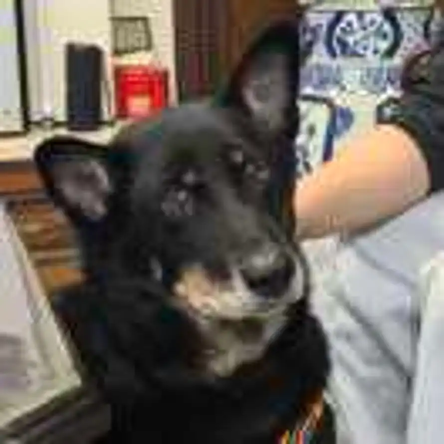 鹤纪云浮的头像