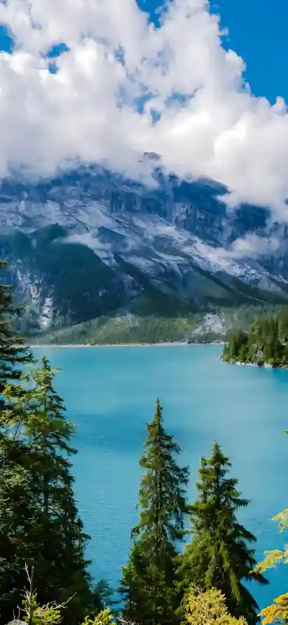 4k云朵壁纸 - 山峰 - 松树 - 森林「哲风壁纸」