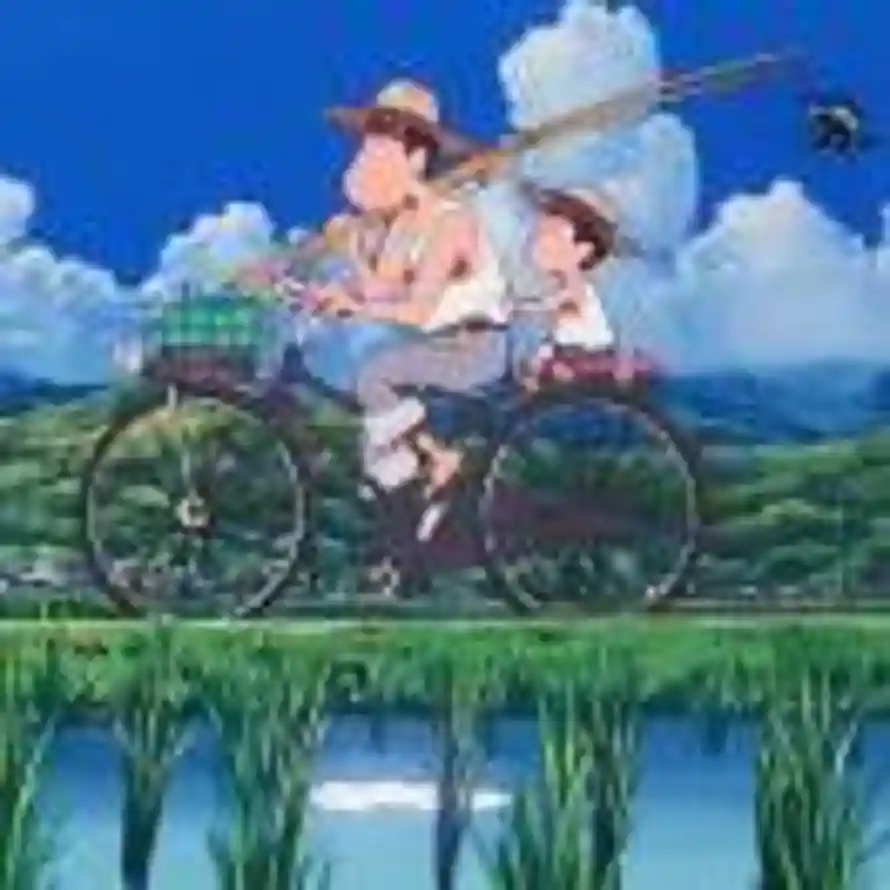 用户DSDG的头像