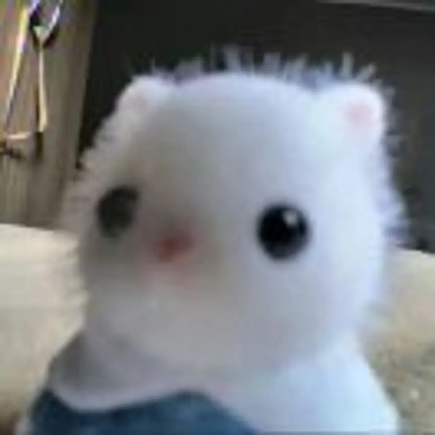 小狗国王的头像